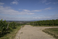 IMG0042
